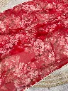 scarlet rose symphony 2.webp